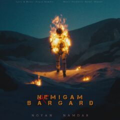 کاور نمیگم برگرد