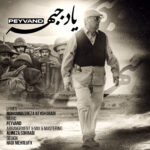 پیوند – یاد جبهه