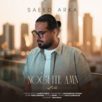 سعید آرکا – نقطه امن