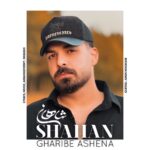 شاهان – غریب آشنا