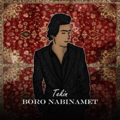 کاور برو نبینمت از تکین