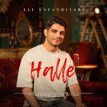 علی اسفندیاری – حله