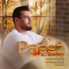 کاور پاییز از علی نوروزی