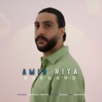 امیر نیا – برگرد