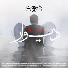 کاور دیوار از امیر شریعت