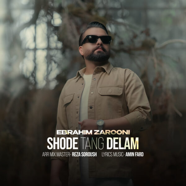 کاور آهنگ شده تنگ دلم از ابراهیم زرونی