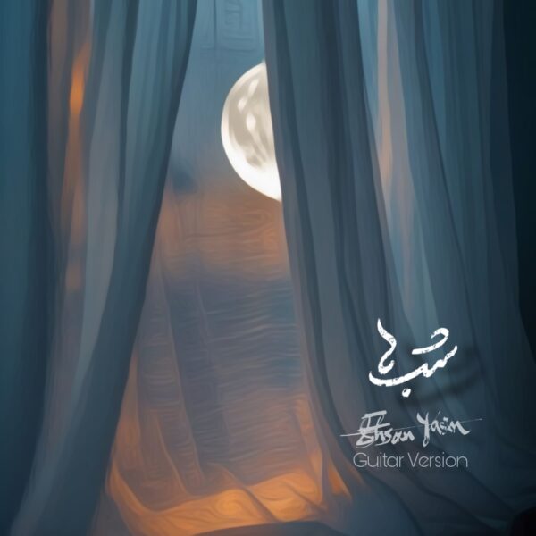 کاور آهنگ شب ها (گیتار ورژن) از احسان یاسین