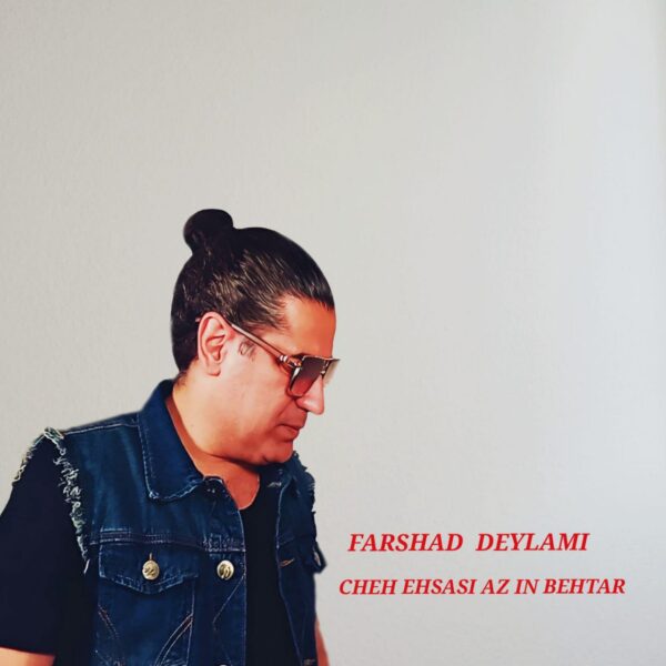 کاور آهنگ چه احساسی از این بهتر از فرشاد دیلمی