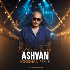 کاور دلم تنگه ریمیکس (اشوان)