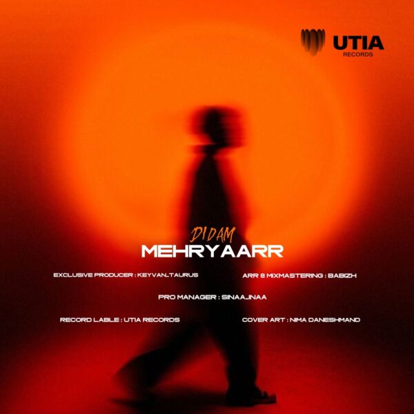 کاور آهنگ دیدم از مهریار