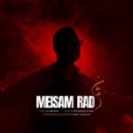 میثم راد – پایان
