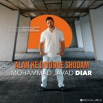 محمد جواد دیار – الان که دیوونه شدم