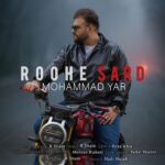 محمد یار – روح سرد