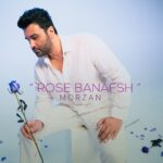 مرضان – رز بنفش