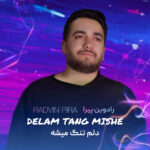 رادوین پیرا – دلم تنگ میشه