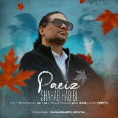 کاور پاییز از شهاب حبیبی