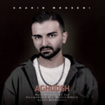 شاهین محسنی – آغوش