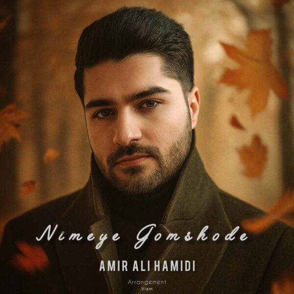 کاور آهنگ نیمه ی گمشده از امیر علی حمیدی