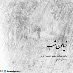 کاور خیابون شب