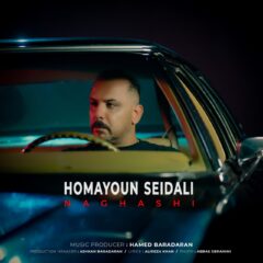 کاور آهنگ نقاشی از همایون صیدالی