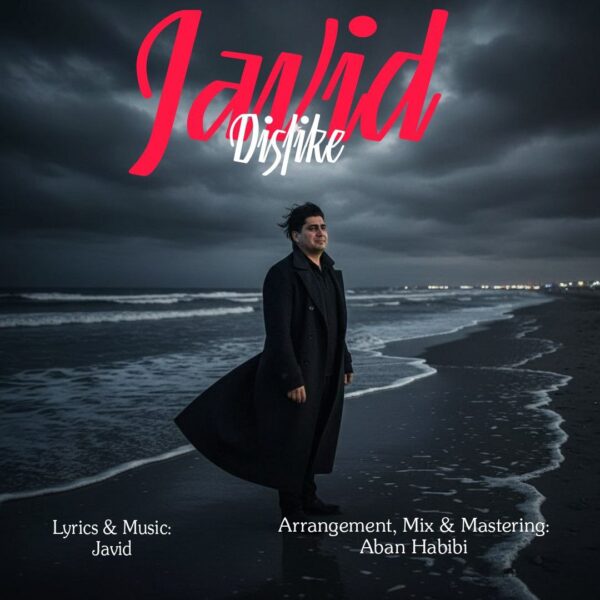 کاور آهنگ دوست ندارم از جاوید