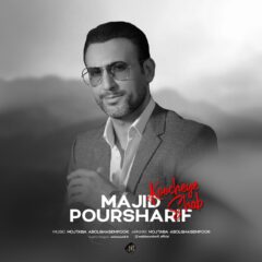 کاور کوچه شب از مجید پورشریف