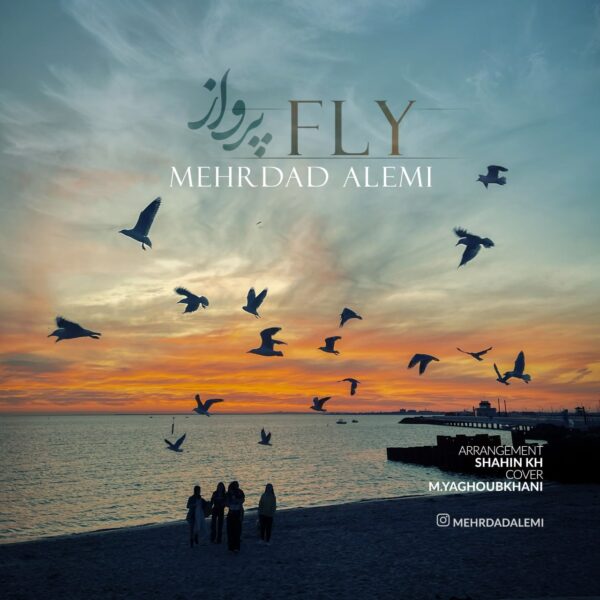 کاور آهنگ پرواز از مهرداد عالمی