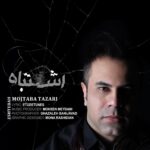 مجتبی طزری – اشتباه