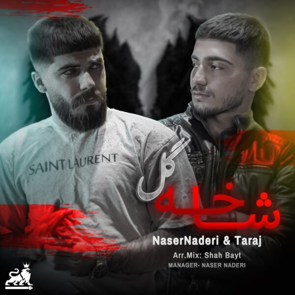 کاور آهنگ شاخه گل از ناصر نادری و تاراج