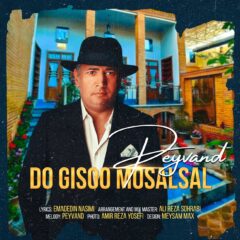 کاور دو گیسو مسلسل از پیوند