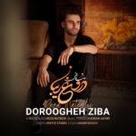 رضا ناطقی – دروغ زیبا