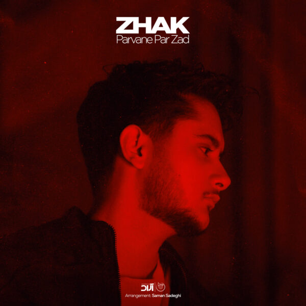 کاور آهنگ پروانه پر زد از ژک