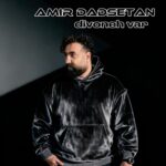 امیر دادستان – دیوونه وار