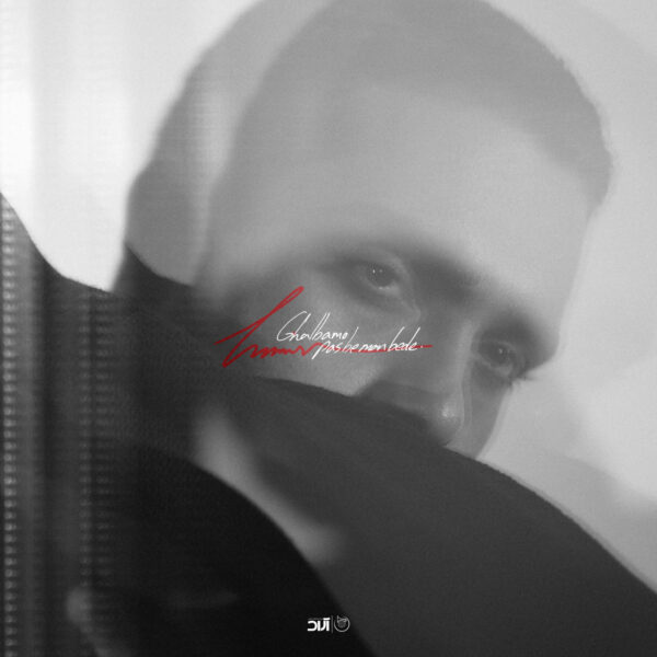 کاور آهنگ قلبمو پس به من بده از حامیم