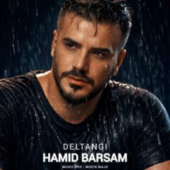 کاور دلتنگی از حمید برسام