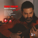 کاوه زمانی – شب طولانی