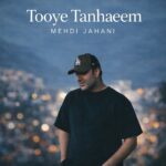 مهدی جهانی – توی تنهاییم