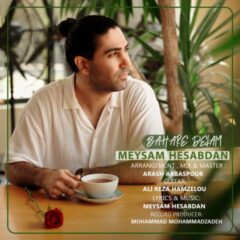 کاور بهار دلم از میثم حسابدان