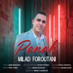 میلاد فروتنی – پناه