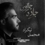 محمد نیکراد – جاده چالوس