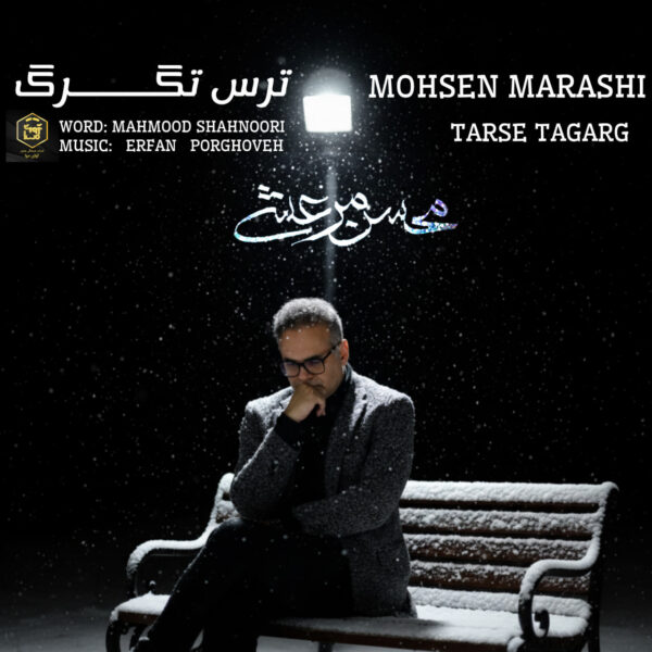 کاور آهنگ ترس تگرگ از محسن مرعشی