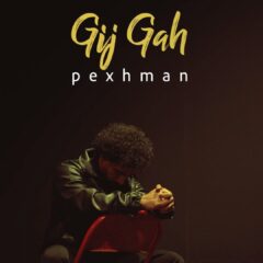 کاور گیجگاه از پژمان