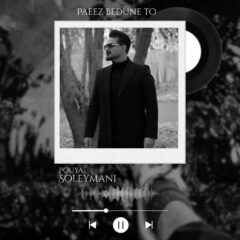 کاور پاییز بدون تو از پویا سلیمانی