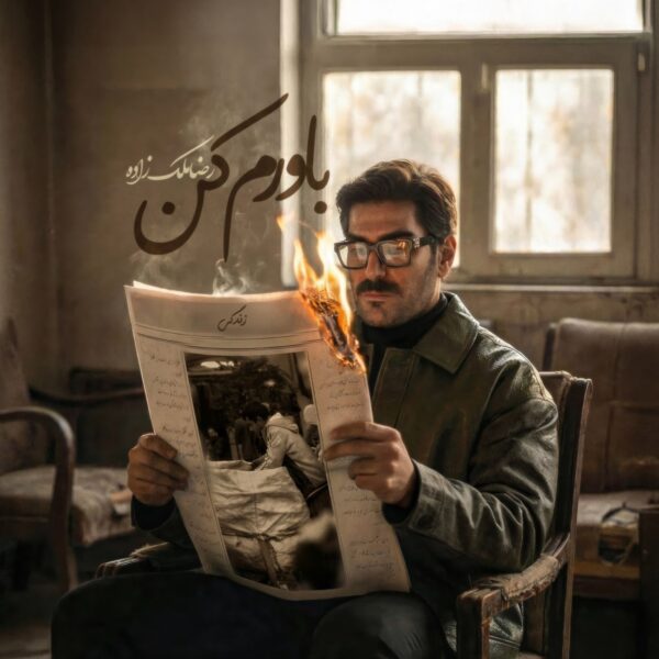 کاور آهنگ باورم کن از رضا ملک زاده