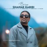 شهاب حبیبی – بارون