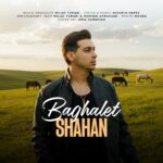 شاهان – بغلت