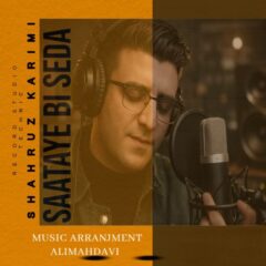 کاور ساعتای بی صدا از شهروز کریمی