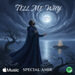 اسپشال امیر – Tell Me Why