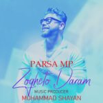 پارسا ام پی – ذوقتو دارم