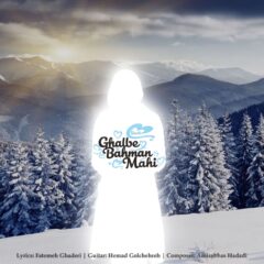 کاور قلب از صائب